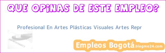 Profesional En Artes Plásticas Visuales Artes Repr