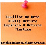 Auxiliar De Arte &8211; Artista Empirico O Artista Plastico