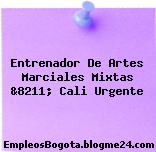 Entrenador De Artes Marciales Mixtas &8211; Cali Urgente
