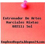 Entrenador De Artes Marciales Mixtas &8211; Sol
