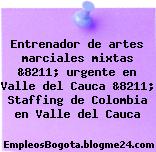 Entrenador de artes marciales mixtas &8211; urgente en Valle del Cauca &8211; Staffing de Colombia en Valle del Cauca