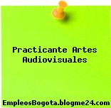Practicante Artes Audiovisuales