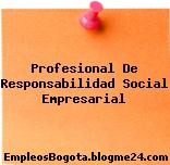Profesional De Responsabilidad Social Empresarial