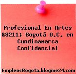 Profesional En Artes &8211; Bogotá D.C. en Cundinamarca Confidencial