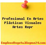 Profesional En Artes Plásticas Visuales Artes Repr