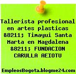 Tallerista profesional en artes plasticas &8211; Timayui Santa Marta en Magdalena &8211; FUNDACION CARULLA AEIOTU