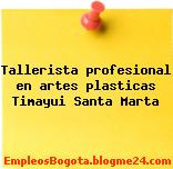 Tallerista profesional en artes plasticas Timayui Santa Marta