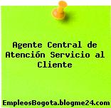 Agente Central de Atención Servicio al Cliente