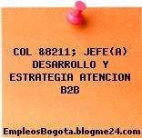 COL &8211; JEFE(A) DESARROLLO Y ESTRATEGIA ATENCION B2B