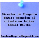 Director de Proyecto &8211; Atencion al cliente en Tolima &8211; DELTEC