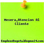 Mesera_Atencion Al Cliente