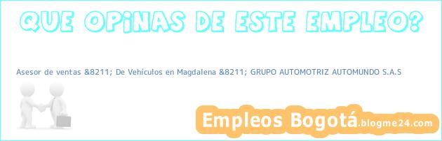 Asesor de ventas &8211; De Vehículos en Magdalena &8211; GRUPO AUTOMOTRIZ AUTOMUNDO S.A.S