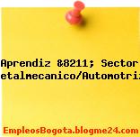 Aprendiz &8211; Sector Metalmecanico/Automotriz