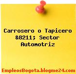 Carrosero o Tapicero &8211; Sector Automotriz