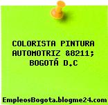 COLORISTA PINTURA AUTOMOTRIZ &8211; BOGOTÁ D.C