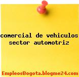 comercial de vehiculos sector automotriz