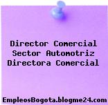 Director Comercial Sector Automotriz Directora Comercial