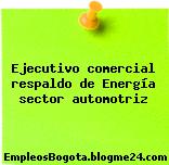 Ejecutivo comercial respaldo de Energía sector automotriz