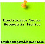 Electricista Sector Automotriz Técnico