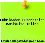 Lubricador Automotriz- Mariquita Tolima