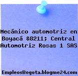 Mecánico automotriz en Boyacá &8211; Central Automotriz Rosas 1 SAS