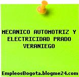 MECANICO AUTOMOTRIZ Y ELECTRICIDAD PRADO VERANIEGO