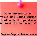 Supernumeraria en Valle del Cauca &8211; Centro de Diagnostico Automotriz la terminal
