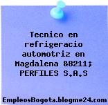 Tecnico en refrigeracio automotriz en Magdalena &8211; PERFILES S.A.S