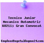 Tecnico Junior Mecanico Automotriz &8211; Gran Convocat