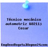 Técnico mecánico automotriz &8211; Cesar