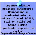 Urgente Técnico Mecánico Automotriz Reparación y mantenimiento de Motores Diesel &8211; Cali en Valle del Cauca &8211; Importante empresa del sector