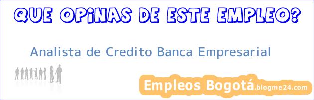 Analista de Credito Banca Empresarial