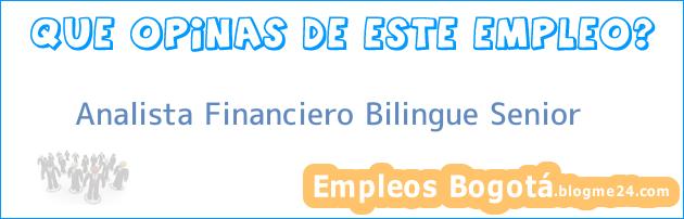 Analista Financiero Bilingue Senior