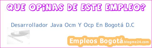 Desarrollador Java Ocm Y Ocp En Bogotá D.C