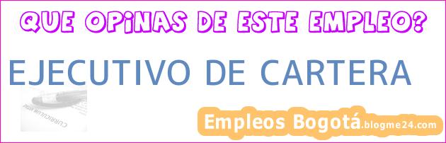 EJECUTIVO DE CARTERA
