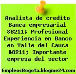 Analista de credito Banca empresarial &8211; Profesional Experiencia en Banco en Valle del Cauca &8211; Importante empresa del sector