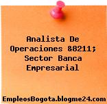 Analista De Operaciones &8211; Sector Banca Empresarial