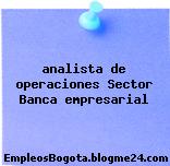 analista de operaciones Sector Banca empresarial
