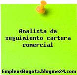 Analista de seguimiento cartera comercial