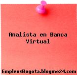 Analista en Banca Virtual
