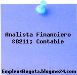 Analista Financiero &8211; Contable