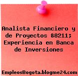 Analista Financiero y de Proyectos &8211; Experiencia en Banca de Inversiones