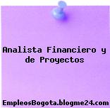 Analista Financiero y de Proyectos