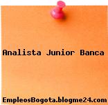 Analista Junior Banca