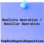 Analista Operativo / Auxiliar Operativo