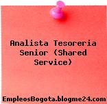 Analista Tesoreria Senior (Shared Service)
