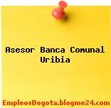 Asesor Banca Comunal Uribia