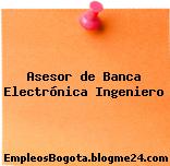 Asesor de Banca Electrónica Ingeniero
