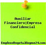 Auxiliar Financiero:Empresa Confidencial