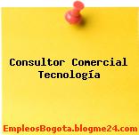 Consultor Comercial Tecnología